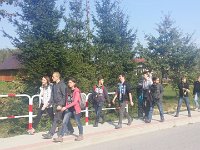 zloty lisc (2)